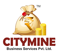 Citymine Business Services Pvt. Ltd.